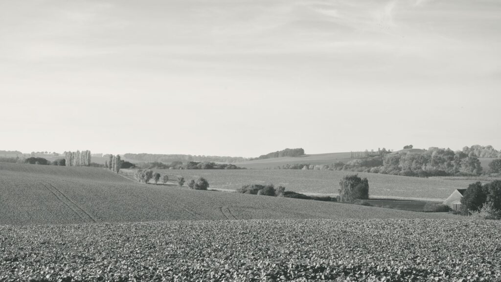 Weite Feldlandschaft mit Ackerflächen und Baumreihen am Horizont